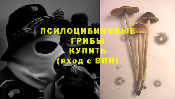 меф Горняк