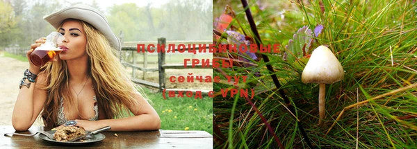 MDMA Premium VHQ Горнозаводск