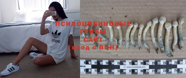 MDMA Premium VHQ Горнозаводск