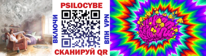 Галлюциногенные грибы Psilocybe Мурманск